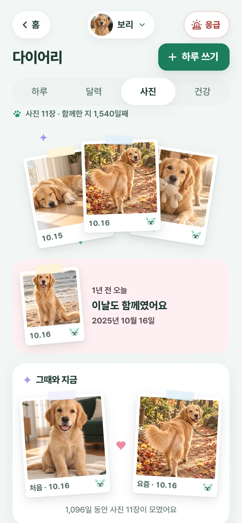 모아하루 다이어리 사진 칸: 1년 전 오늘, 그때와 지금